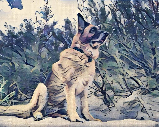 german shepherd with great wave style using johnson model